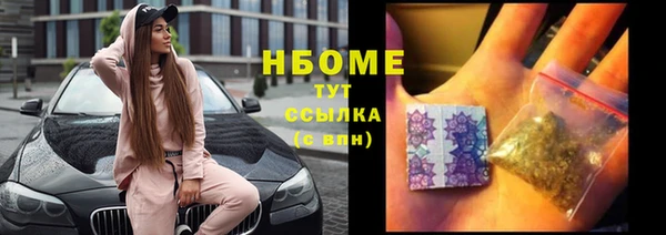 прущие грибы Усолье-Сибирское