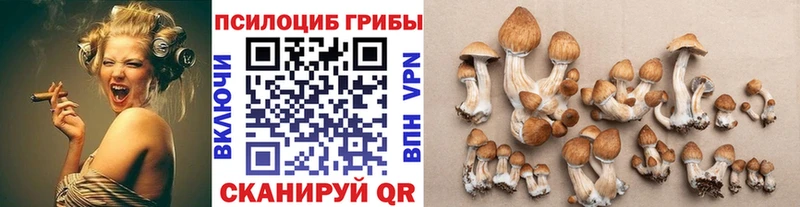 Псилоцибиновые грибы GOLDEN TEACHER  где купить наркотик  Азнакаево 
