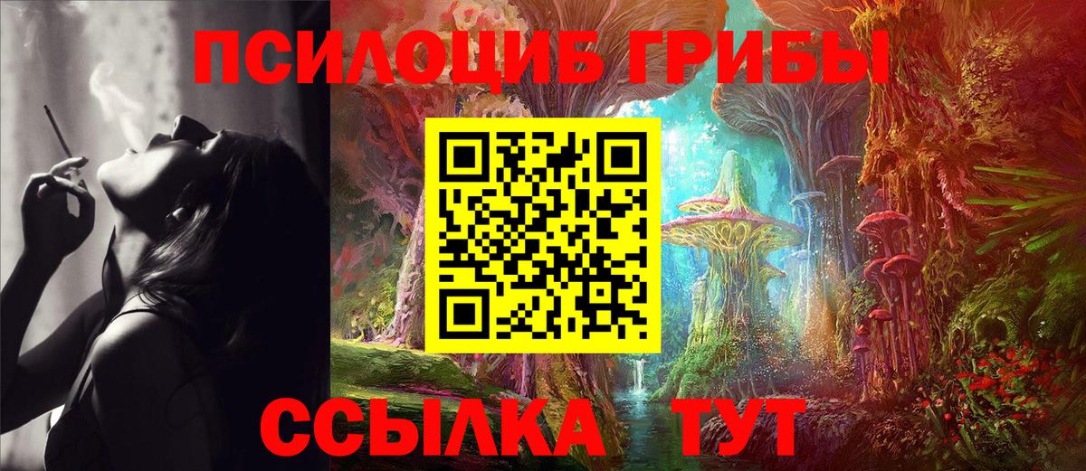 Азнакаево  Галлюциногенные грибы GOLDEN TEACHER  Вход с VPN 